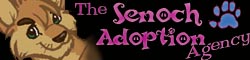 Click to adopt your own Dark Dragon!